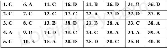 Đề thi giữa kì 2 Tiếng Anh 12 iLearn Smart World - Đề số 1 1 1