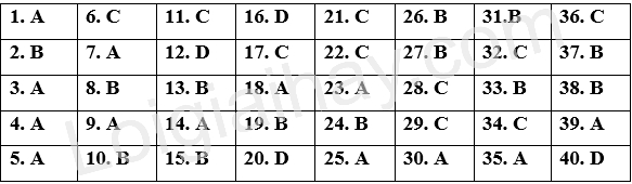 Đề thi giữa kì 2 Tiếng Anh 12 iLearn Smart World - Đề số 5 1 1