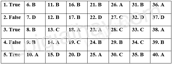 Đề thi học kì 1 Tiếng Anh 12 Friends Global - Đề số 1 1 1