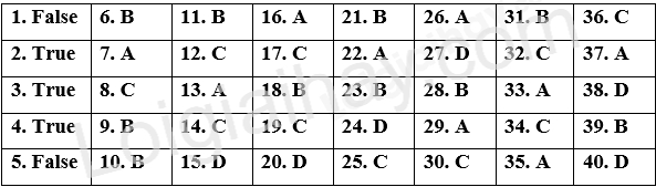 Đề thi học kì 1 Tiếng Anh 12 Global Success - Đề số 4 1 1