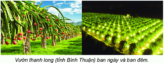 Ba điểm thẳng hàng 11