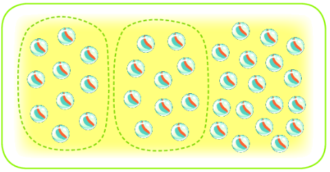 Bài 1: Ôn tập các số đến 100 15