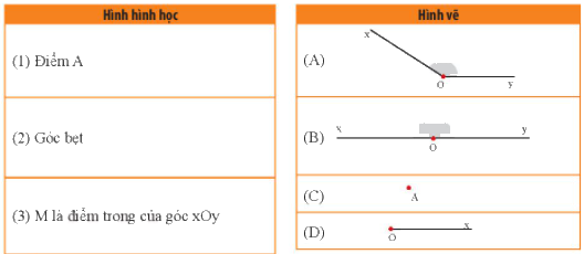 Bài 1 trắc nghiệm trang 96, 97 SGK Toán 6 Chân trời sáng tạo 1
