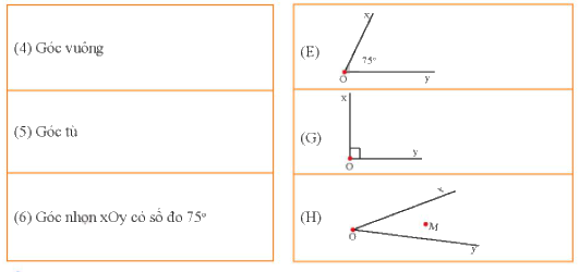 Bài 1 trắc nghiệm trang 96, 97 SGK Toán 6 Chân trời sáng tạo 2