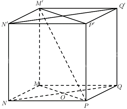 Bài 1 trang 116 SGK Toán 11 tập 2 - Cánh Diều 2