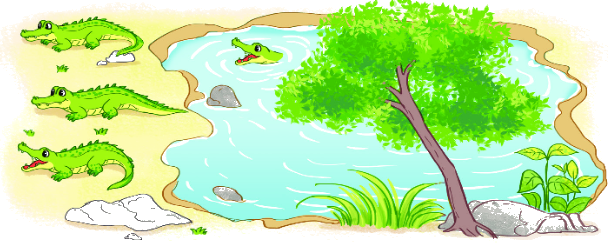 Bài 10: Luyện tập chung 11