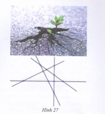 Bài 13 trang 161 Tài liệu dạy – học toán 6 tập 1 1