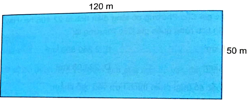 Bài 15: Ki-lô-mét vuông. Héc-ta (tiết 2) trang 51 vở bài tập Toán 5 - Kết nối tri thức 3