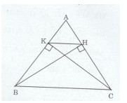 Bài 15 trang 170 Tài liệu dạy – học Toán 7 tập 1 1