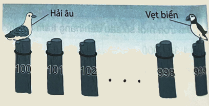 Bài 16. Luyện tập chung (tiết 3) trang 46 Vở thực hành Toán 4 3 1