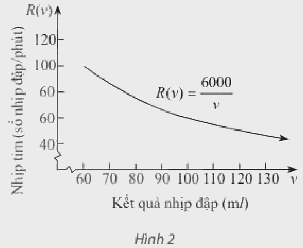 Bài 16 trang 52 SGK Toán 11 tập 2 - Chân trời sáng tạo 1