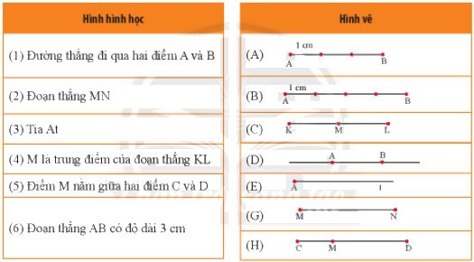 Bài 2 trắc nghiệm trang 97 SGK Toán 6 Chân trời sáng tạo 1