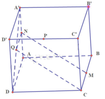 Bài 2 trang 113 SGK Toán 11 tập 1 - Cánh Diều 2