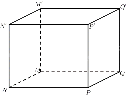 Bài 2 trang 116 SGK Toán 11 tập 2 - Cánh Diều 2