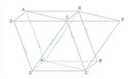 Bài 2 trang 119 SGK Toán 11 tập 1 - Cánh Diều 2