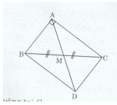 Bài 2 trang 171 Tài liệu dạy – học Toán 7 tập 1 1