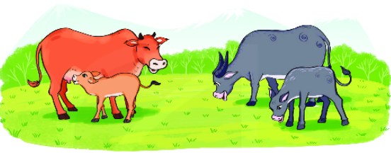 Bài 21. Luyện tập chung 1