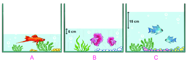 Bài 21. Luyện tập chung 8 1