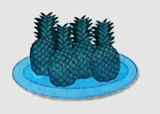 Bài 21: Phép nhân số thập phân (tiết 1) trang 69 vở bài tập Toán 5 - Kết nối tri thức 4