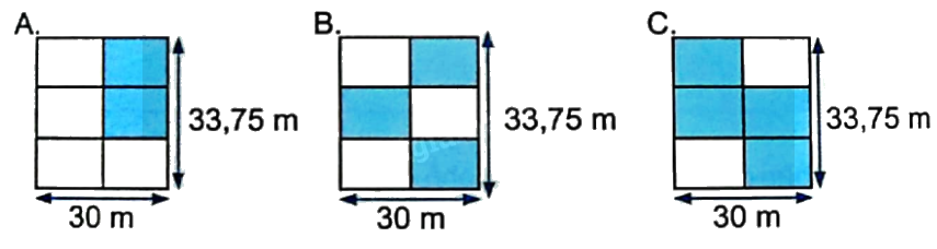 Bài 24: Luyện tập chung (tiết 3) trang 81 vở bài tập Toán 5 - Kết nối tri thức 1