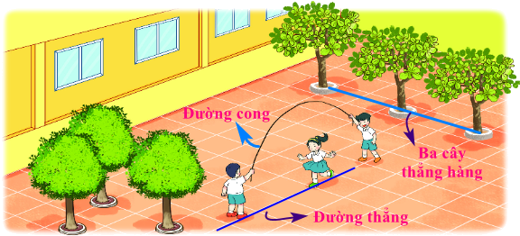 Bài 25. Điểm, đoạn thẳng, đường thẳng, đường cong, ba điểm thẳng hàng 15