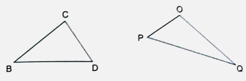 Bài 25: Hình tam giác. Diện tích hình tam giác (tiết 2) trang 85 vở bài tập Toán 5 - Kết nối tri thức 0 1