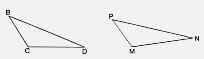 Bài 25: Hình tam giác. Diện tích hình tam giác (tiết 2) trang 85 vở bài tập Toán 5 - Kết nối tri thức 0 2