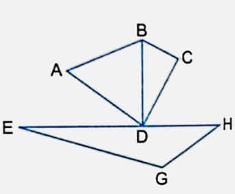 Bài 25: Hình tam giác. Diện tích hình tam giác (tiết 2) trang 85 vở bài tập Toán 5 - Kết nối tri thức 7