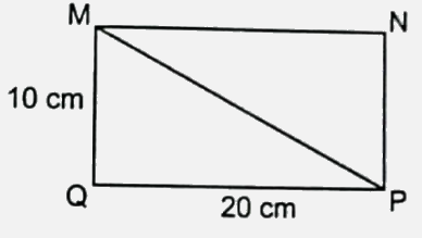 Bài 25: Hình tam giác. Diện tích hình tam giác (tiết 3) trang 86 vở bài tập Toán 5 - Kết nối tri thức 3 1