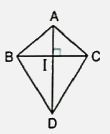 Bài 25: Hình tam giác. Diện tích hình tam giác (tiết 3) trang 86 vở bài tập Toán 5 - Kết nối tri thức 4 1