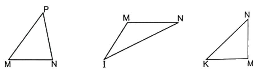 Bài 25: Hình tam giác. Diện tích hình tam giác (tiết 4) trang 88 vở bài tập Toán 5 - Kết nối tri thức 1 1