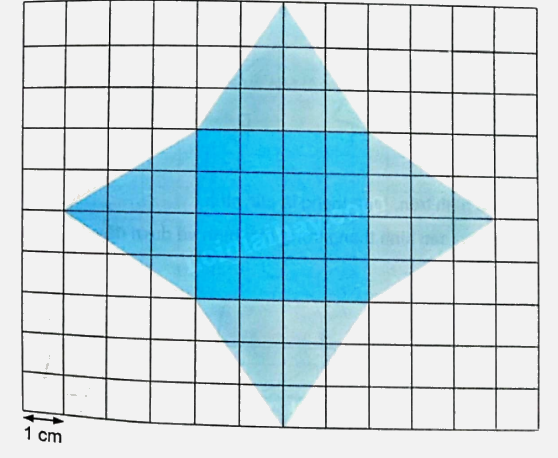 Bài 25: Hình tam giác. Diện tích hình tam giác (tiết 4) trang 88 vở bài tập Toán 5 - Kết nối tri thức 3 1