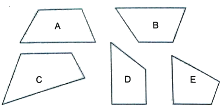 Bài 26: Hình thang. Diện tích hình thang (tiết 1) trang 90 vở bài tập Toán 5 - Kết nối tri thức 1