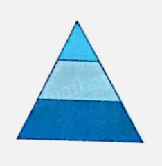 Bài 26: Hình thang. Diện tích hình thang (tiết 1) trang 90 vở bài tập Toán 5 - Kết nối tri thức 3 1