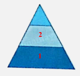 Bài 26: Hình thang. Diện tích hình thang (tiết 1) trang 90 vở bài tập Toán 5 - Kết nối tri thức 7