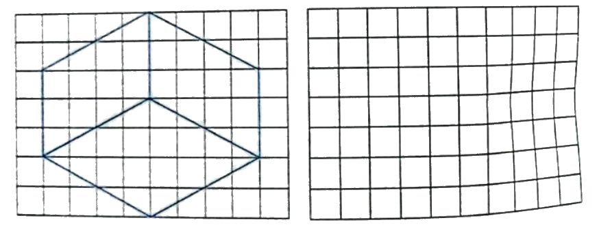 Bài 26: Hình thang. Diện tích hình thang (tiết 2) trang 91 vở bài tập Toán 5 - Kết nối tri thức 7