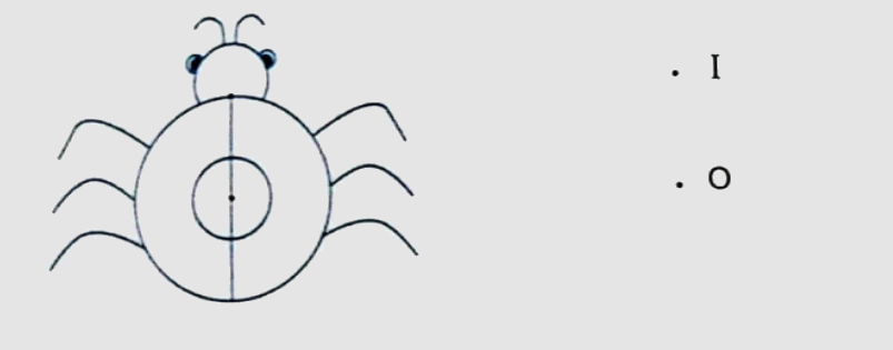 Bài 27: Đường tròn. Chu vi và diện tích hình tròn (tiết 1) trang 97 vở bài tập Toán 5 - Kết nối tri thức 3