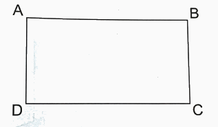 Bài 29. Hai đường thẳng song song (tiết 1) trang 81 Vở thực hành Toán 4 1