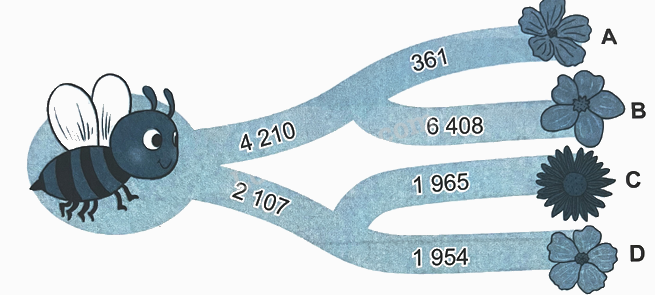 Bài 3. Số chẵn, số lẻ (tiết 2) trang 11 Vở thực hành Toán 4 1