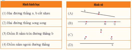 Bài 3 trắc nghiệm trang 97, 98 SGK Toán 6 Chân trời sáng tạo 1