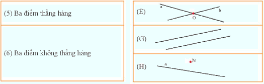 Bài 3 trắc nghiệm trang 97, 98 SGK Toán 6 Chân trời sáng tạo 2
