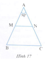 Bài 3 trang 168 Tài liệu dạy – học Toán 7 tập 1 1