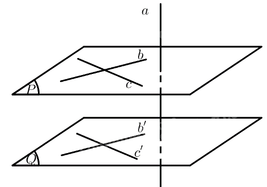 Bài 3 trang 99 SGK Toán 11 tập 2 - Cánh Diều 3