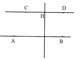 Bài 30: Thực hành và trải nghiệm vẽ hai đường thẳng song song (tiết 1) trang 84 Vở thực hành Toán 4 0 2