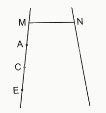 Bài 30: Thực hành và trải nghiệm vẽ hai đường thẳng song song (tiết 2) trang 85 Vở thực hành Toán 4 3