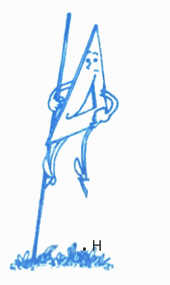 Bài 30: Thực hành và trải nghiệm vẽ hai đường thẳng song song (tiết 2) trang 85 Vở thực hành Toán 4 5