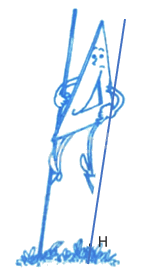 Bài 30: Thực hành và trải nghiệm vẽ hai đường thẳng song song (tiết 2) trang 85 Vở thực hành Toán 4 6