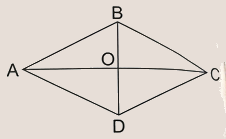 Bài 31: Hình bình hành, hình thoi (tiết 3) trang 88 Vở thực hành Toán 4 0 1