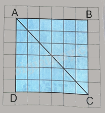 Bài 32: Luyện tập chung (tiết 3) trang 91 Vở thực hành Toán 4 3 1