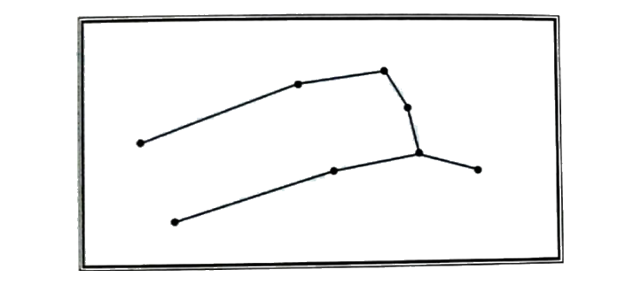 Bài 32: Ôn tập một số hình phẳng (tiết 1) trang 119 vở bài tập Toán 5 - Kết nối tri thức 3 1